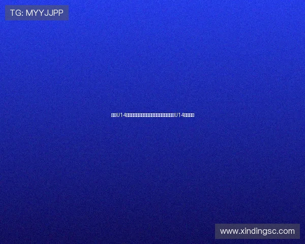 申花U14首战强势登场杭州钱潮杯首轮七球横扫里昂U14震撼全场